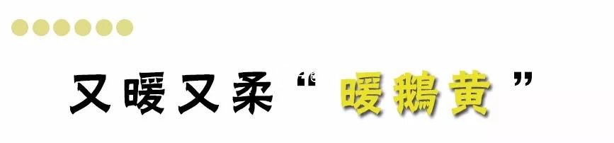 春天就是要 “ 搞黄色 ”！！