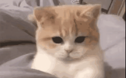 干花美甲要怎么搭才好看呢？