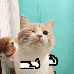 为什么你拍的美甲图，朋友圈里没人点赞？