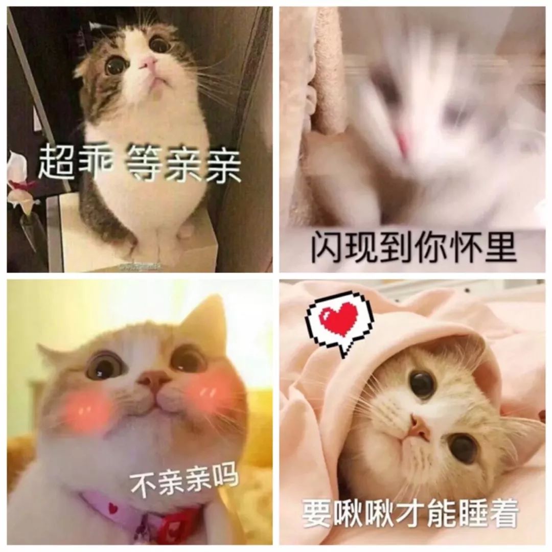 “撩汉”表情包，张张都是绝杀！