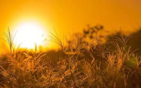 我喜欢和你在一起，因为你有正能量