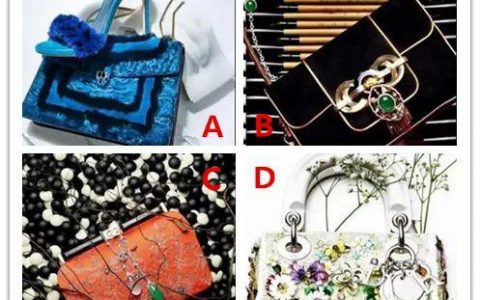 4个包包你觉得哪个最贵？测出你会拥有什么