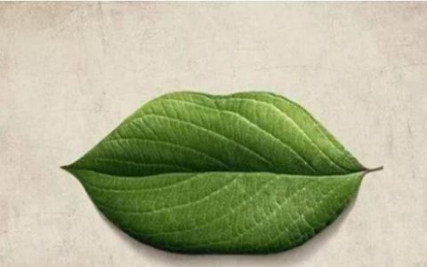 第一眼你把图看成了什么？看目前有没有人偷偷喜欢你