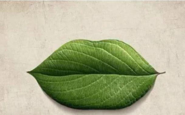 第一眼你把图看成了什么？看目前有没有人偷偷喜欢你