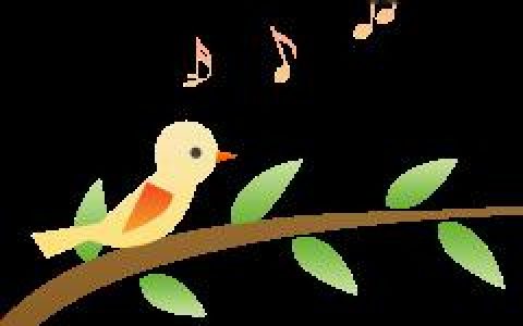 民政局前，我们刚办完离婚手续，他说：我还能再抱抱你么？”