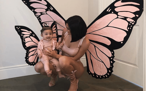 “蝴蝶元素”这么土！凭什么火起来了？