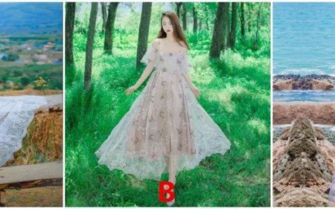 最心仪哪条仙女裙？测谁在一直默默地守护你？