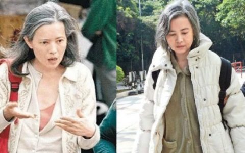 54岁蓝洁瑛近照曝光，满脸皱纹面容苍老