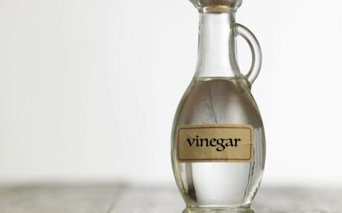 红枣泡白醋可以减肥吗，教你自制红枣醋