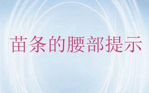 怎么瘦身 苗条的腰部提示