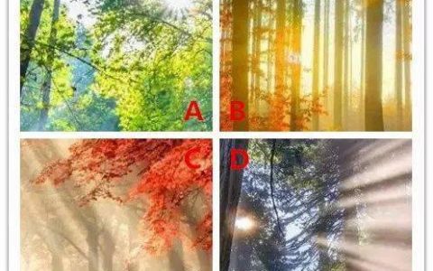 四束阳光，你最喜欢哪束？测出你是什么命？