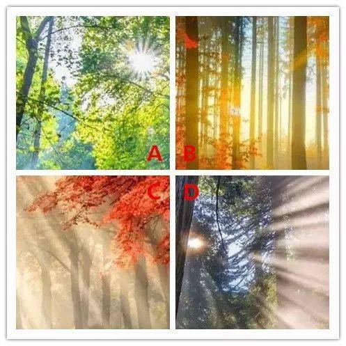 四束阳光，你最喜欢哪束？测出你是什么命？