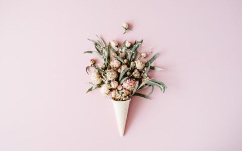 朋友开张送什么花合适，这5种寓意美好