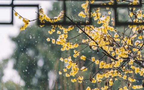 抓住他的这七个软肋，聪明女人都应该知道！