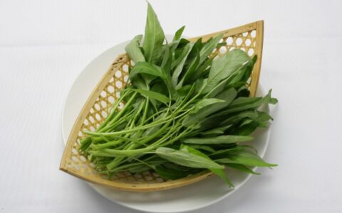 科学减肥一个月瘦，科学减肥怎么一个月瘦十斤