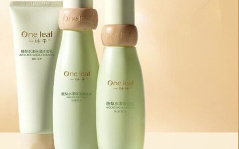 一叶子水乳怎么样