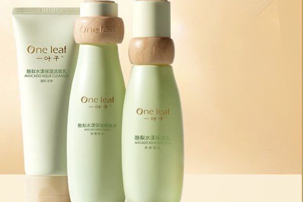 一叶子水乳怎么样