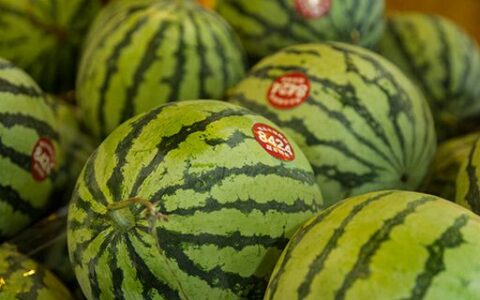 西瓜皮可以去红血丝吗 掌握技巧防止皮肤受损