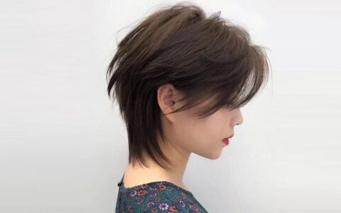 鲻鱼头和狼尾是一个发型吗