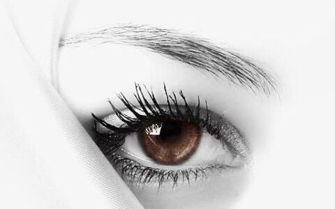 多久刮一次眉毛