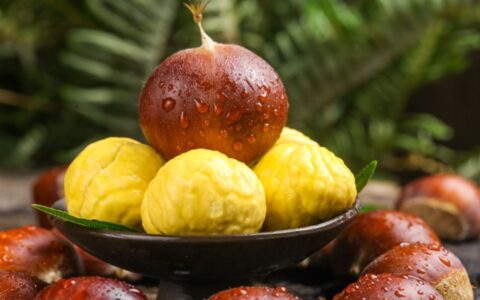 身体瘦怎么补充营养增肥，身体太瘦吃什么增肥