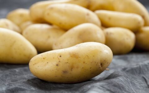 土豆的减肥方法，如何利用土豆减肥？