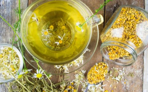 迷迭香怎么吃减肥，解锁迷迭香的减肥魔力轻松享瘦更健康！