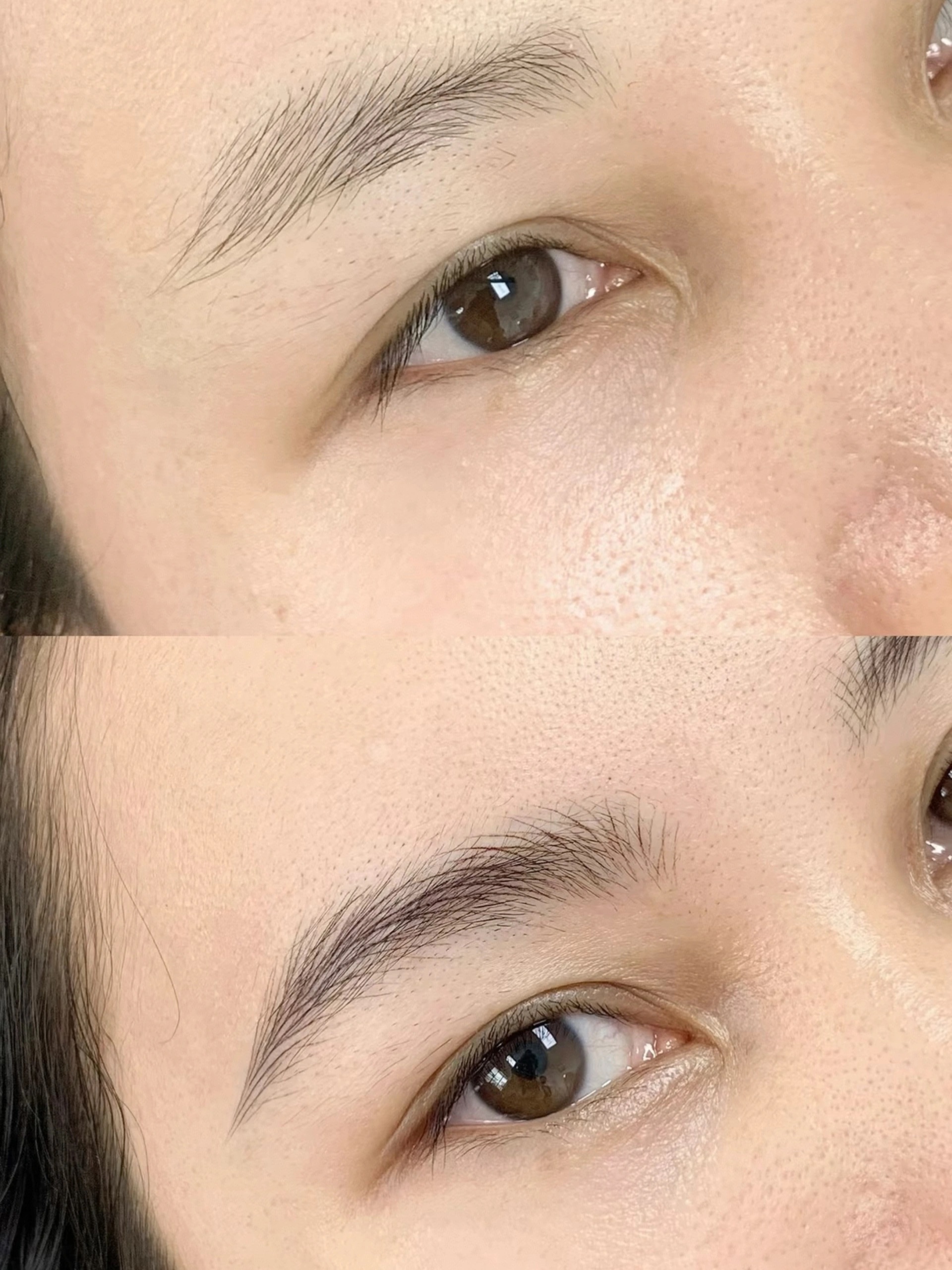 池州野生眉案例